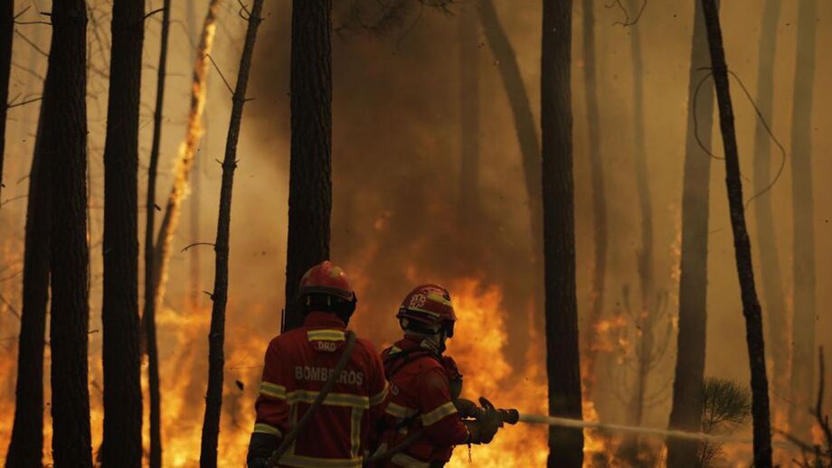Proteção Civil faz aviso à população para risco máximo de incêndios na quinta e sexta-feira