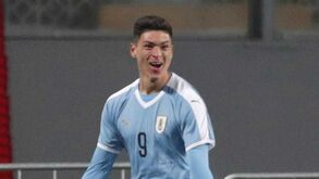 Novela encerrada: Darwin é jogador do Benfica