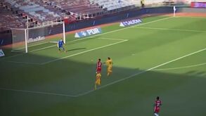 Assim joga Darwin Núñez: veja o novo reforço do Benfica em ação