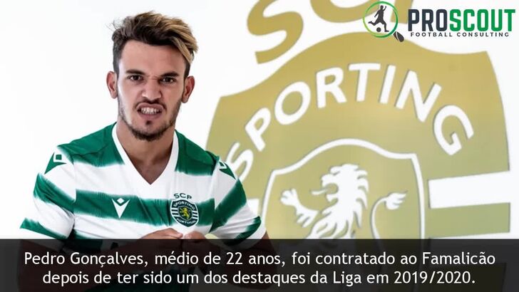 Raio-X aos reforços dos grandes: a análise a Pote