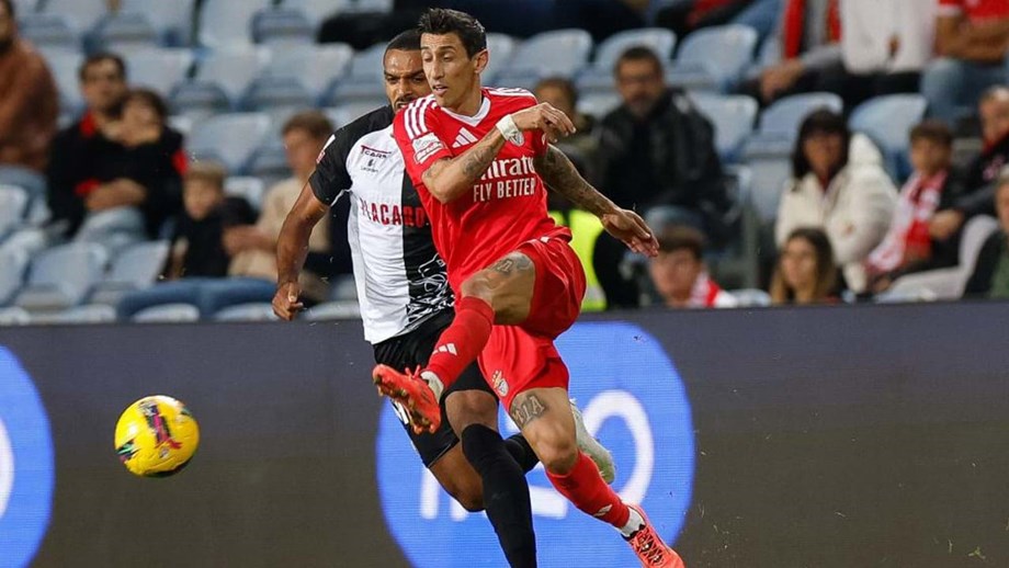 Farense Benfica O Duelo Em Factos Liga Betclic Jornal Record