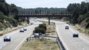 Estrada com carros e passadeira superior para passagem de animais
