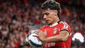 Richard Ríos, médio do Benfica
