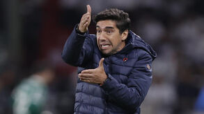 Abel Ferreira reage no banco de suplentes do Palmeiras