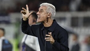 Luís Castro, treinador do Grémio