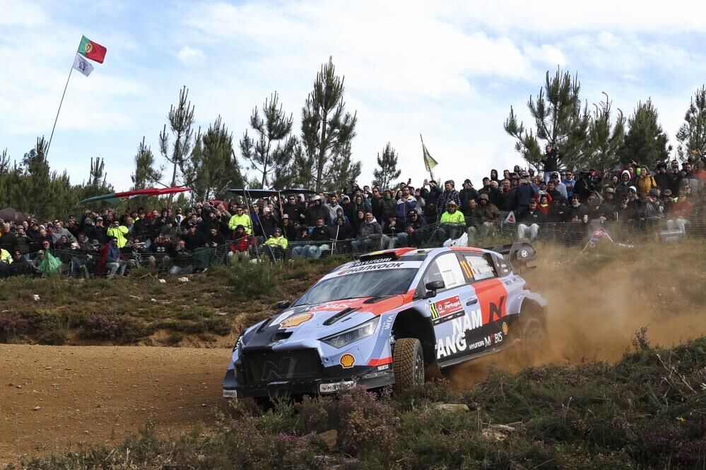 Rally de Portugal: Neuville threatens Ogier and Sordo swerves to avoid... a cow
