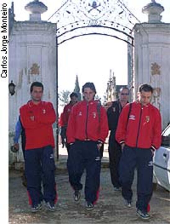 Rosas para Pedro Lavoura