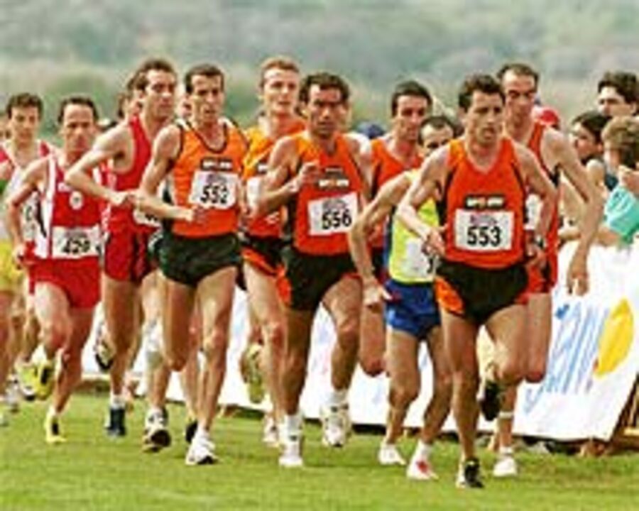 Campeões do Maratona com tarefa mais difícil