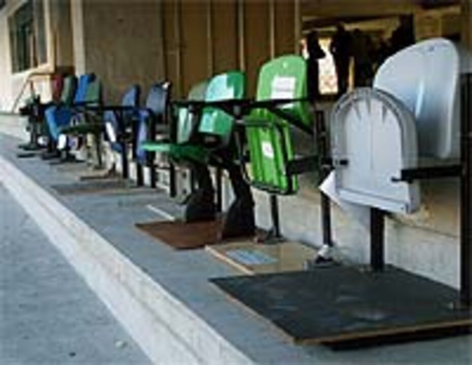 Lugares especiais entusiasmam leões