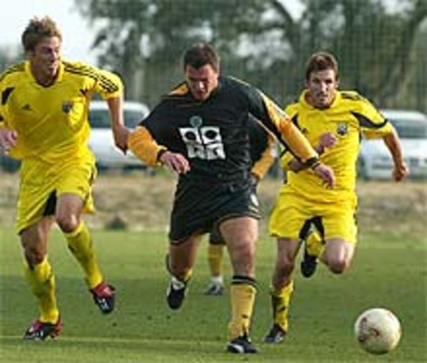 A ‘maldição’ de Niculae