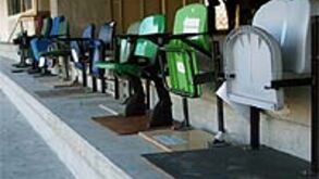 Lugares especiais entusiasmam leões