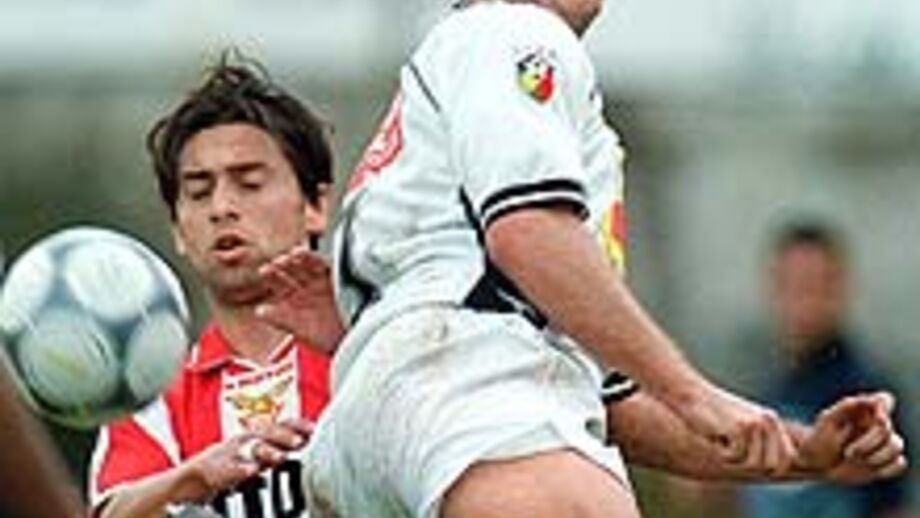 Leões em diálogo por Diogo