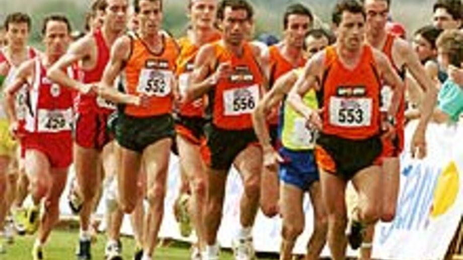 Campeões do Maratona com tarefa mais difícil