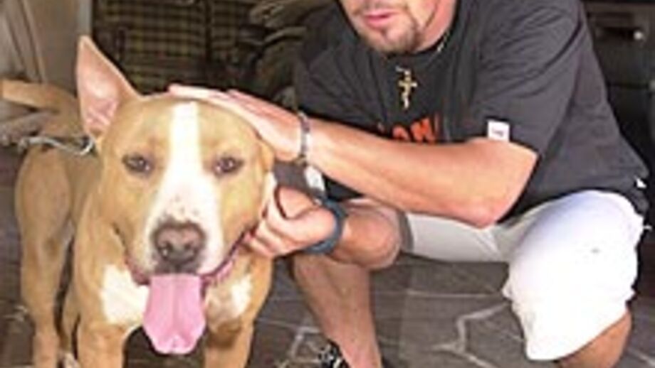 Cláudio Pitbull: «FC Porto é uma referência mundial»