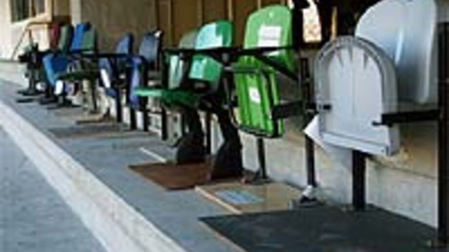 Lugares especiais entusiasmam leões