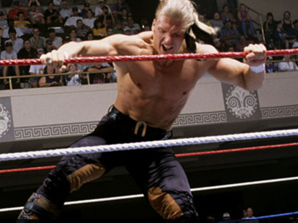 Triple H: «Adaptação a uma nova realidade»