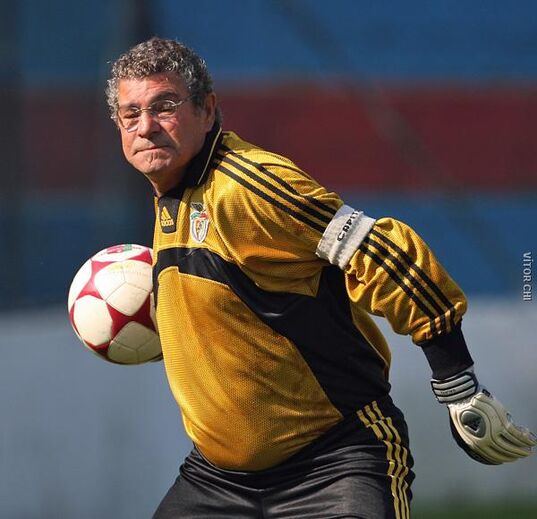 Homenagem ao Zé Gato