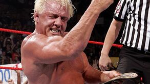 Ric Flair aceita desafio de Jericho