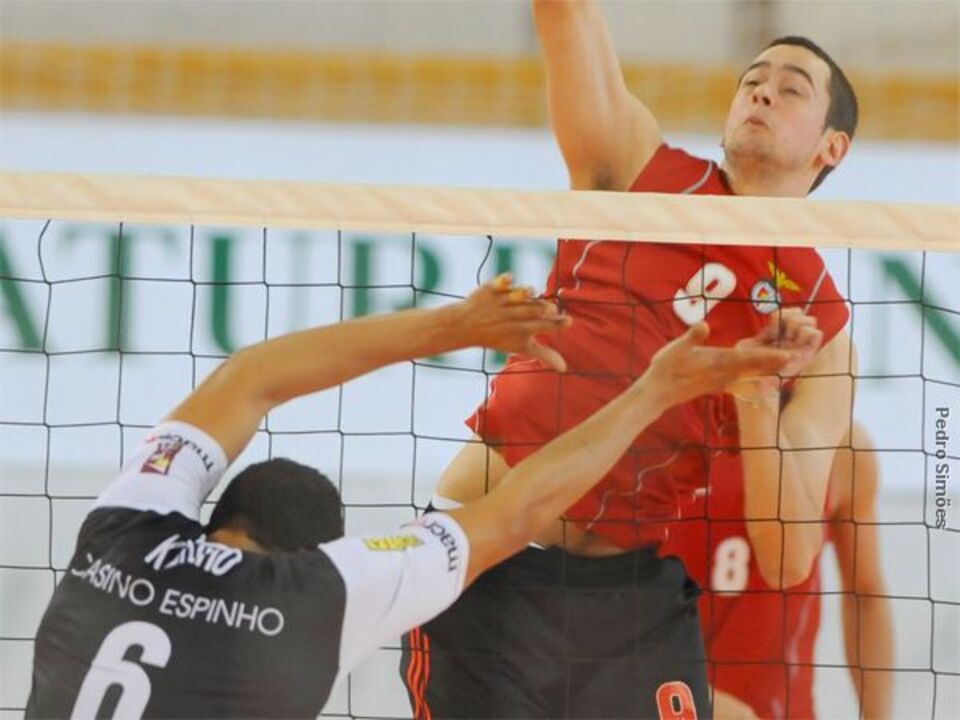 Fidalgo já trabalha para ser distribuidor