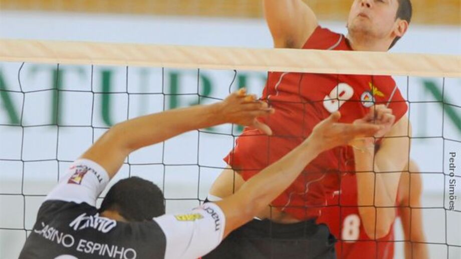 Fidalgo já trabalha para ser distribuidor