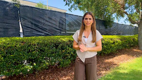 Goleada, testes na equipa e loucura por Di María: assim foi o dia do Benfica em Tampa