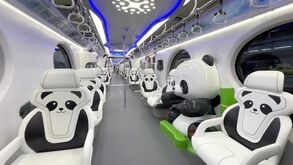 Este comboio vai deixar 'loucos' os apaixonados por pandas