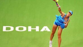 Dementieva trava Stosur