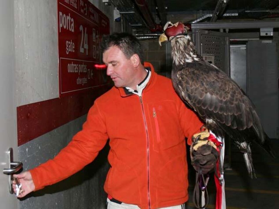 Juan Bernabé: «Foi tudo uma armadilha»