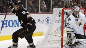 NHL: Ducks implacáveis diante dos Sharks