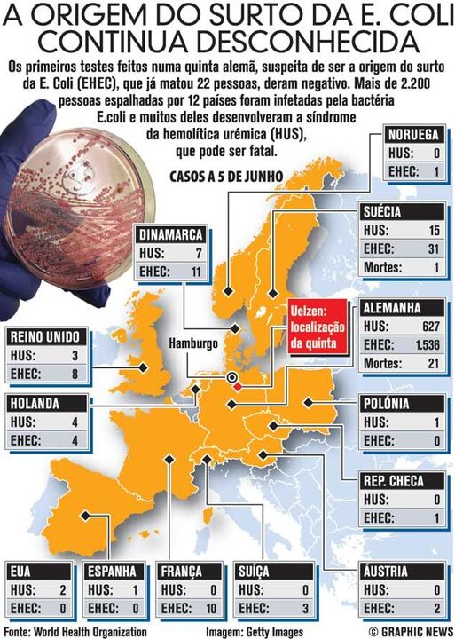 A origem do surto da E.Coli continua desconhecida