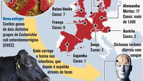 Surto infeccioso da bactéria e.coli causado por nova estirpe