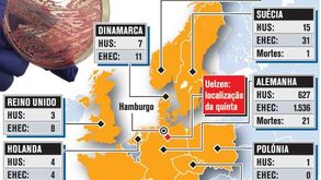 A origem do surto da E.Coli continua desconhecida