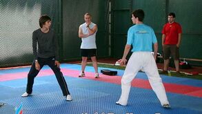 Taekwondo: Dupla portuguesa tenta apuramento para Londres'2012