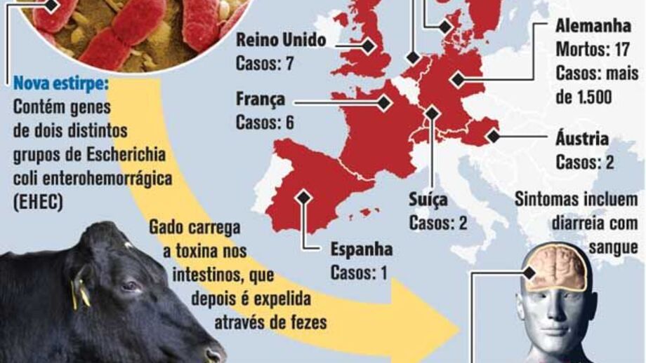 Surto infeccioso da bactéria e.coli causado por nova estirpe