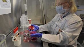 E. coli faz vítima mortal em França