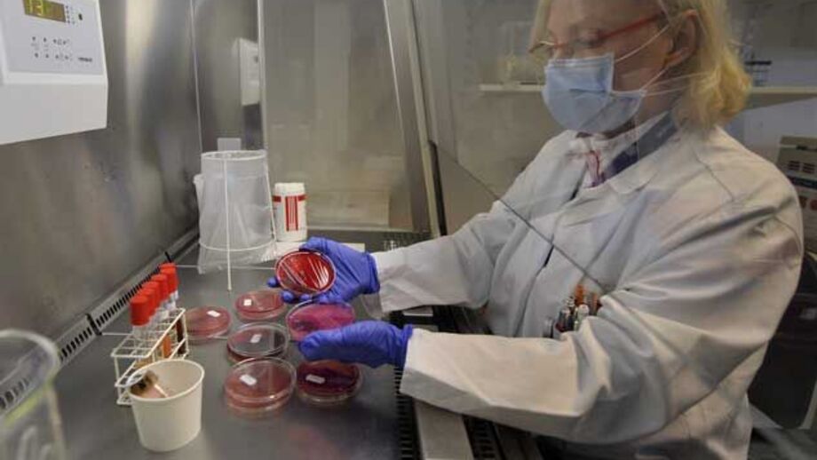 E. coli faz vítima mortal em França