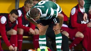 Schaars engole inseto e fica maldisposto