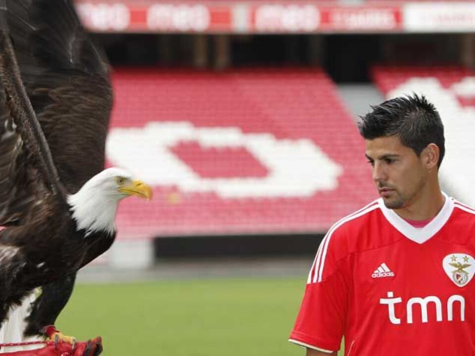 Todos os meses pode fazer uma transferência