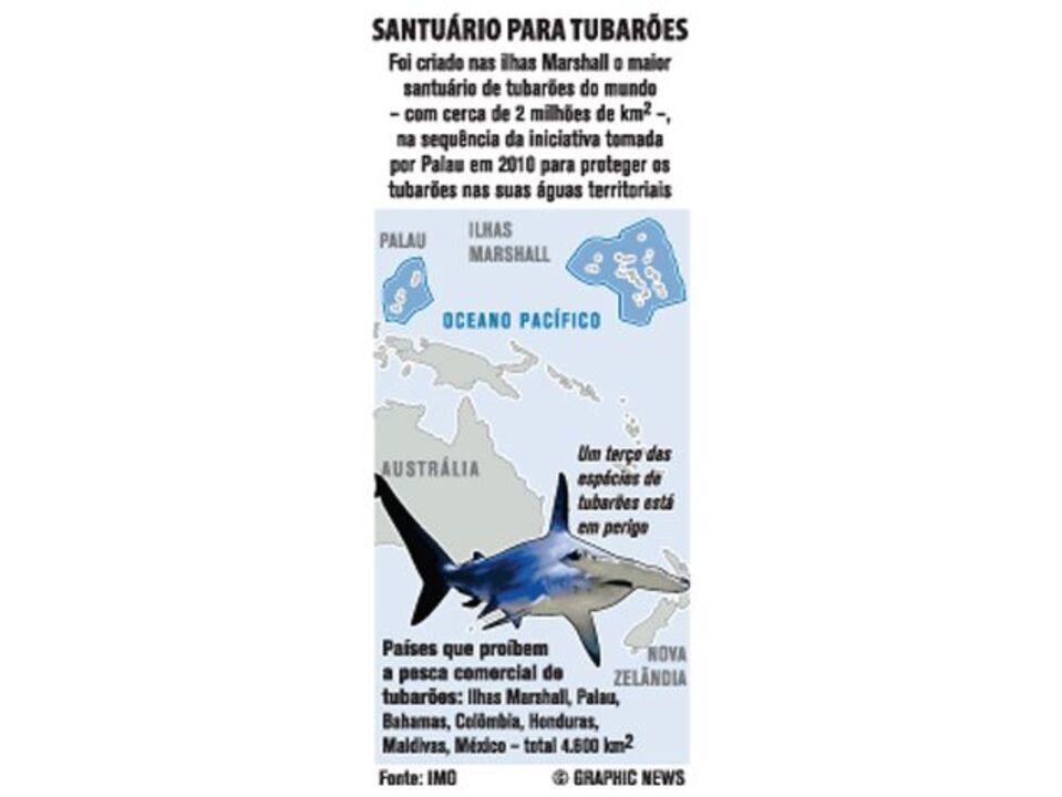 Santuário para tubarões