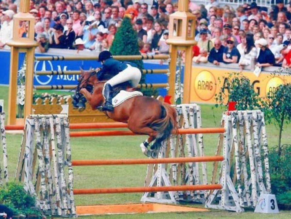 Hipismo: Luciana Diniz em 3.º lugar na Noruega