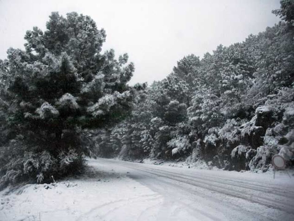 Neve natalícia em Londres vale ouro