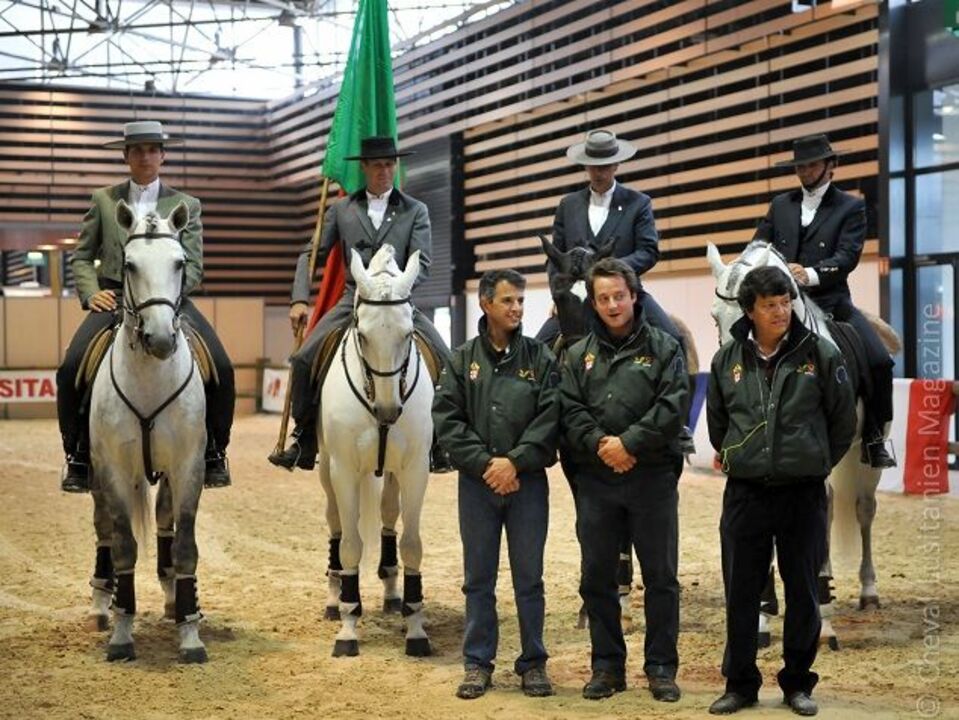 Hipismo: Portugal com boa prestação em Lyon