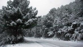 Neve natalícia em Londres vale ouro