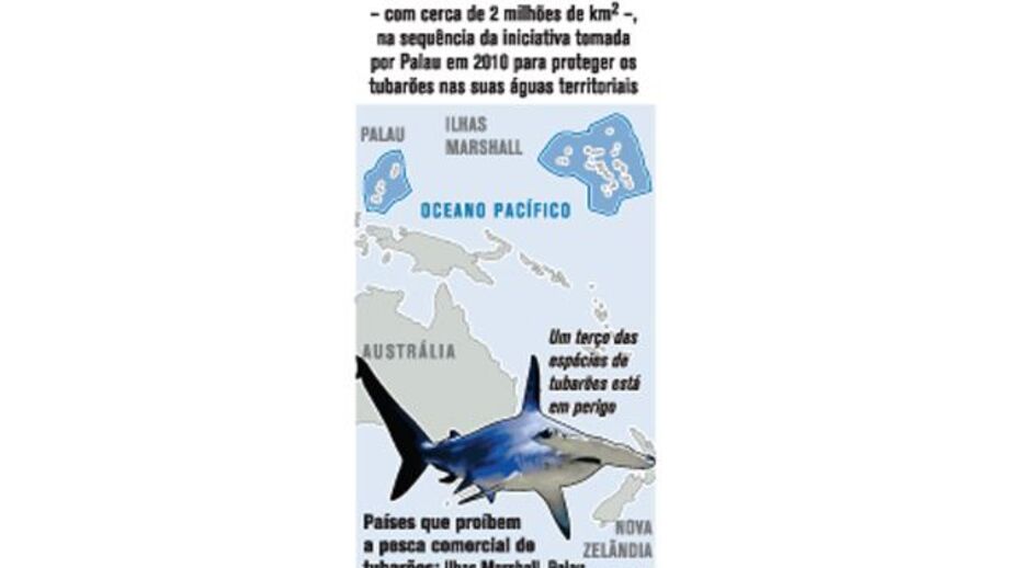 Santuário para tubarões