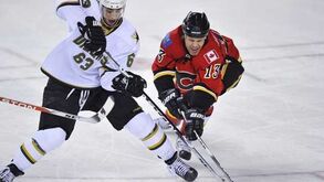 NHL: Equipa de Mike Ribeiro vai mudar de dono