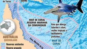 Austrália quer maior reserva marinha do mundo