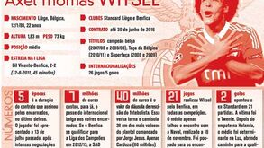 Witsel à lupa
