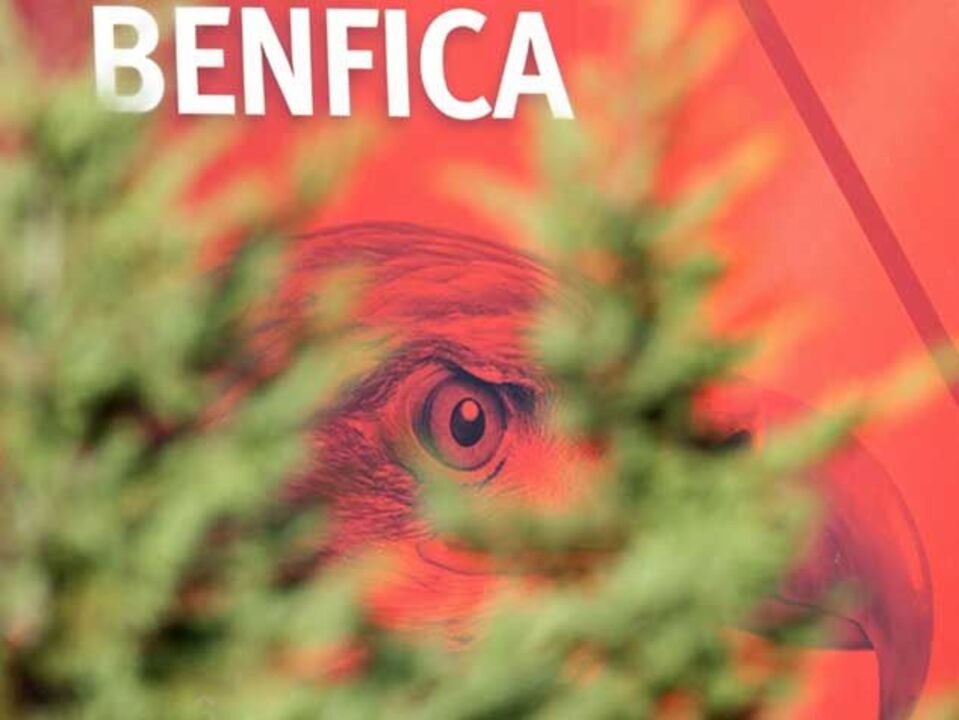 Bruno Maruta é o manager da equipa B