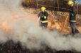 Alverca: Incêndio em fábrica de madeira