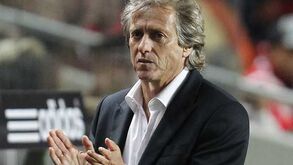 Benfica favorito frente ao Marítimo